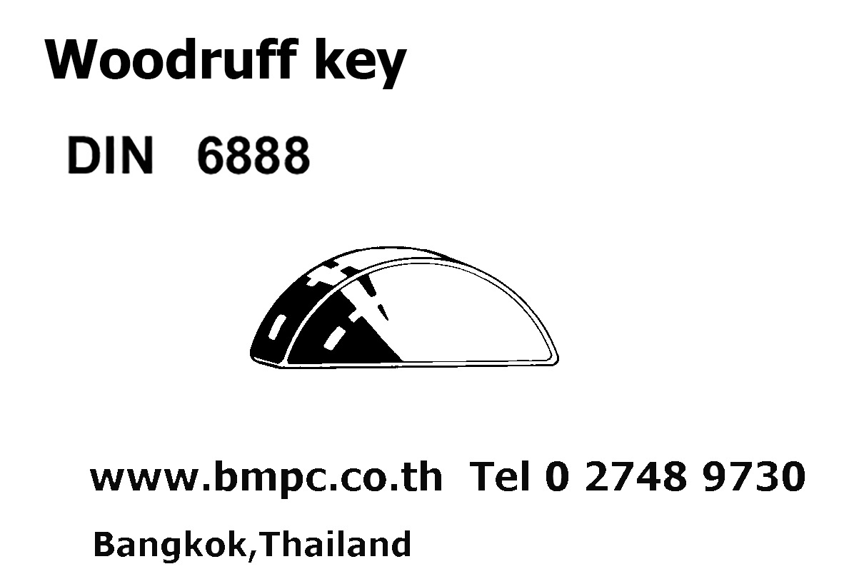 ลิ่มครึ่งวงกลม, Woodruff Key, pin, ลิ่มวงเดือน, ลิ่มปลายเพลา, สลักพระจันทร์เสี้ยว, Disc spring, ซ่อมเกลียว